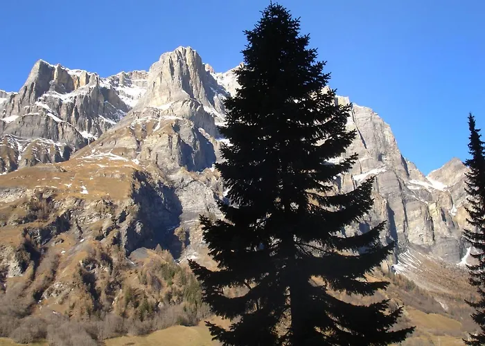 Ringstrasse 122 By Interhome アパート